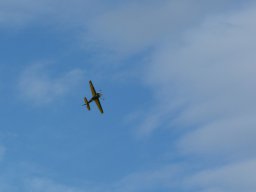 p1000222