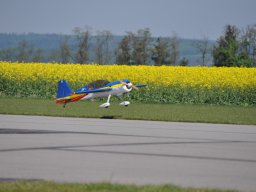 dsc_0317
