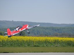 dsc_0323